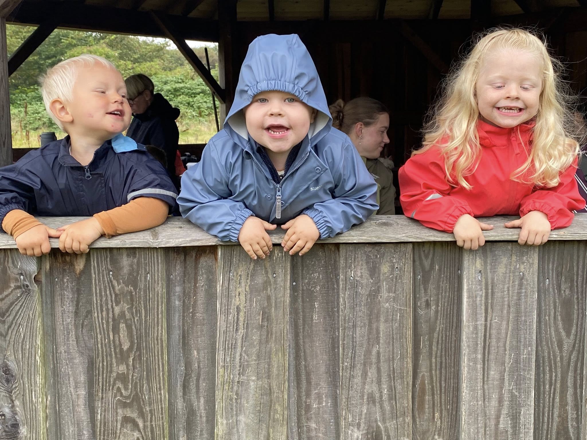 Nyhedsbrev oktober 2025